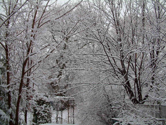 Spring Time in Canada