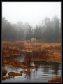 Wandering Waters