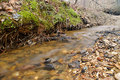 A little creek
