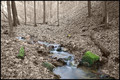 Tributary to Laurel Creek at Laurel Lake WMA Mingo County WV