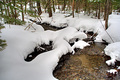 Winter stream