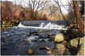 Bronx River Falls