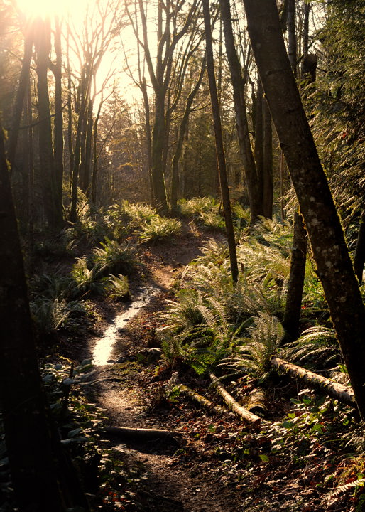 The Shortest Stream - Global Warming...