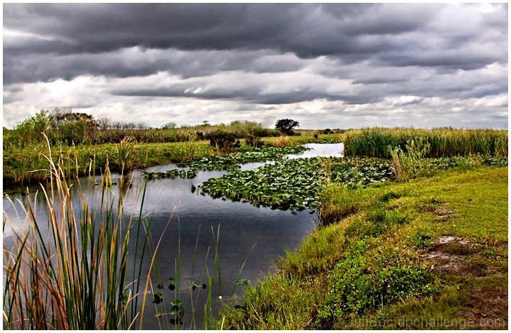 Everglades Afternoon