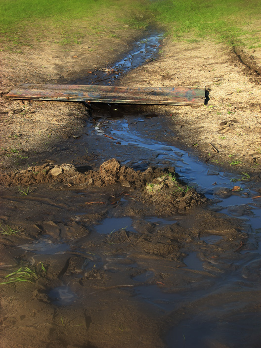 Bridge and Delta