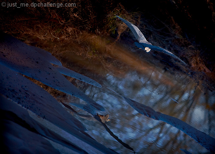 Reflected Flight