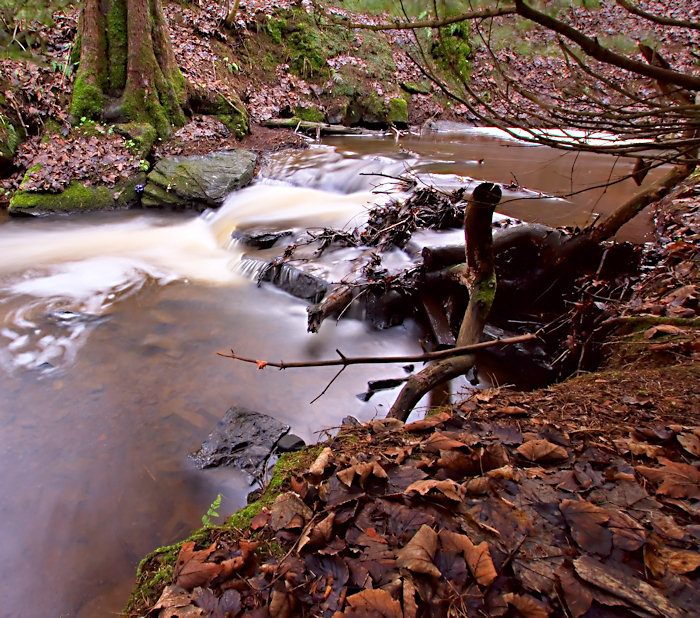 Mini White Water