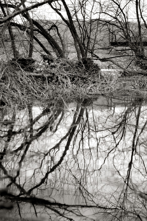 The Dance at the Crick