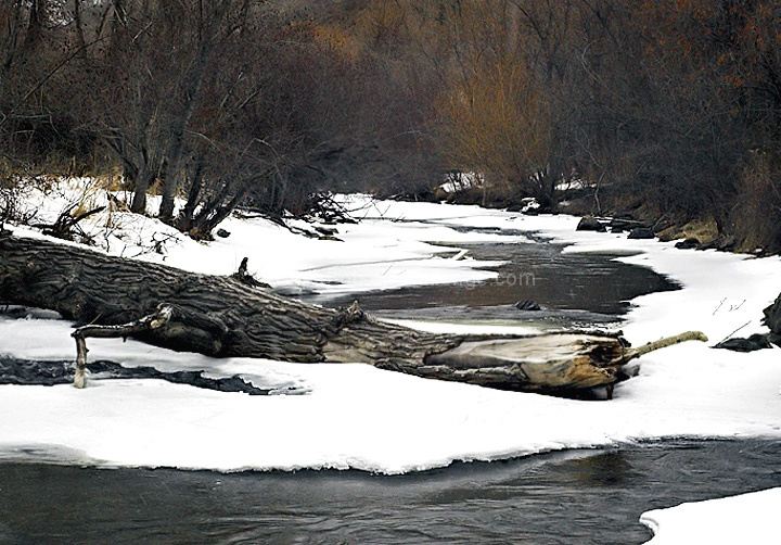 Winter's Edge