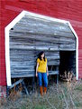 Against the Barn.