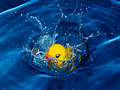 Splash!