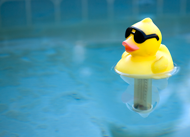 Chillin in the Pool