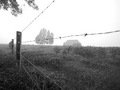 Morning Fog
