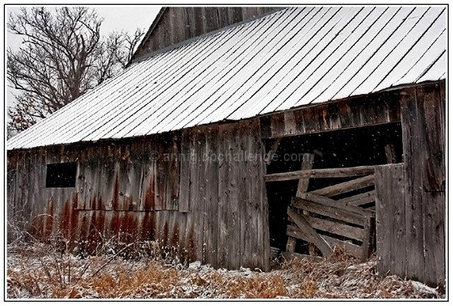 a lonely winter's day