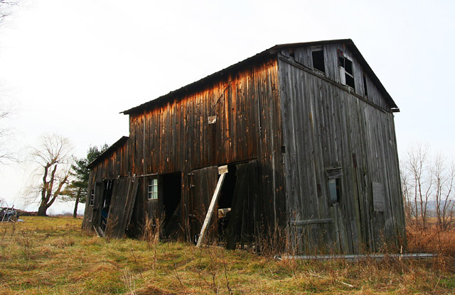 Hawk Barn