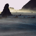 Rocks & Colors emerge from the Fog on the Pacific 