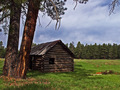 Cabin in the Meadow