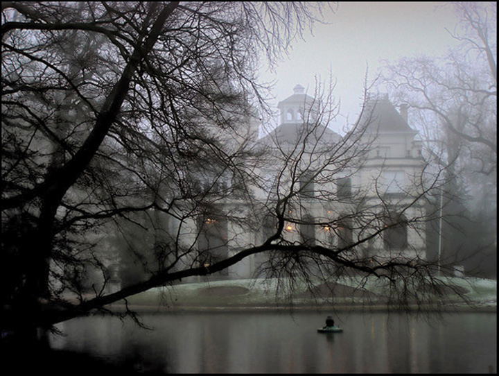 Frosty Morning VI