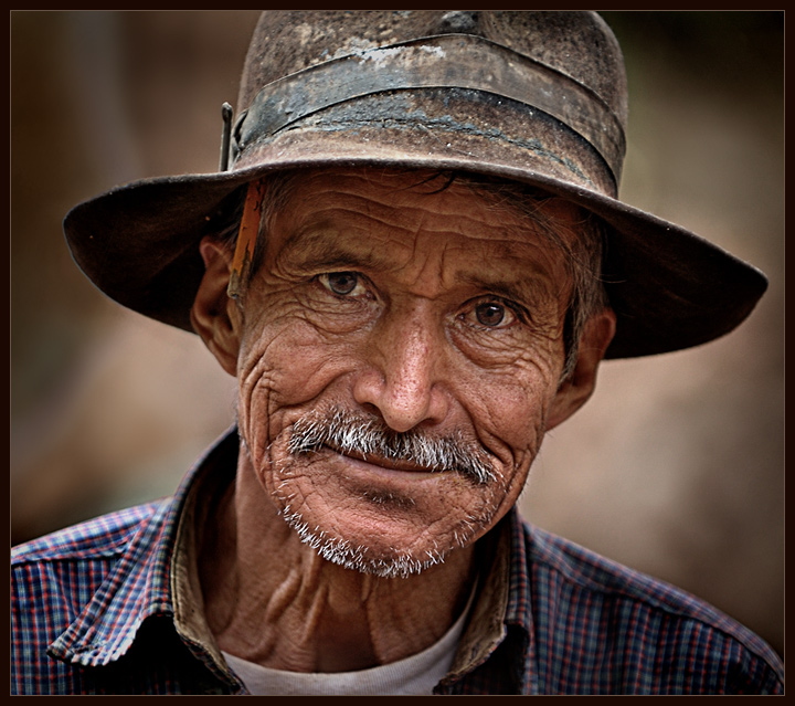 The Wise Carpenter