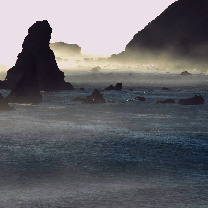 Rocks & Colors emerge from the Fog on the Pacific 
