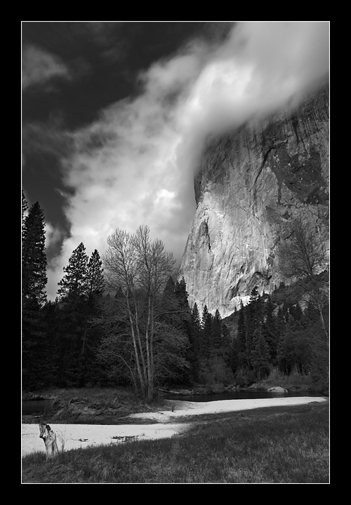 Spring Storm Over El Capitan