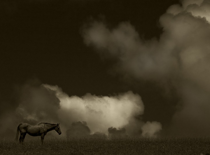 Out to Pasture