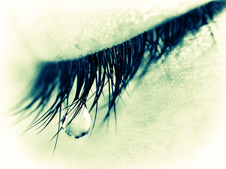 Crocodile Tear