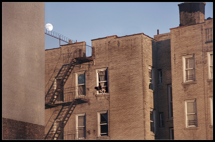 Under an Urban Moon