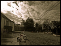 After a rainstorm