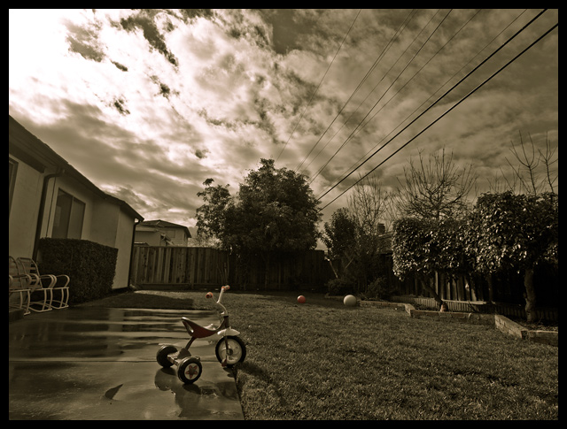 After a rainstorm