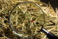 To find a needle in a haystack !