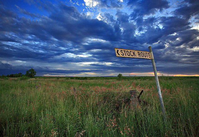 The Olde Stock Route
