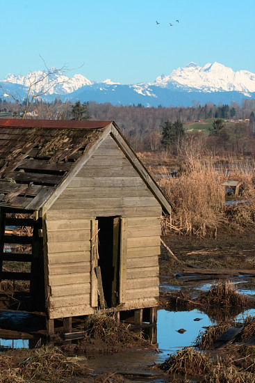 Paps old hunting shack
