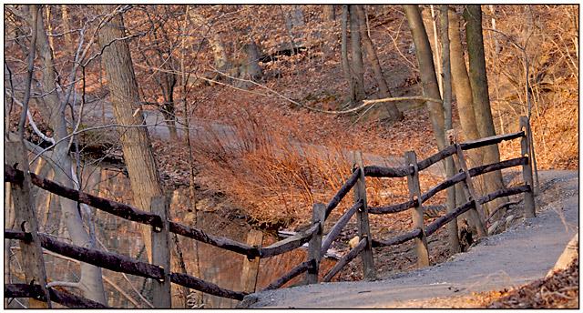 Rickety Old Fence