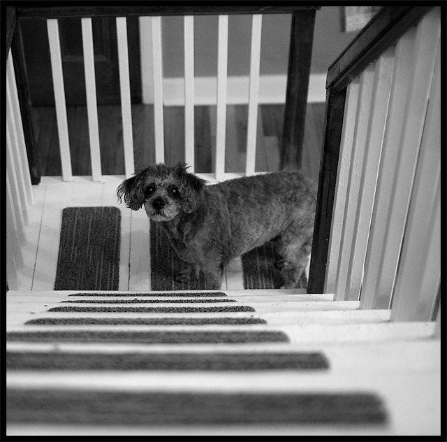 Take the Stairs