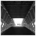 Reaching the light