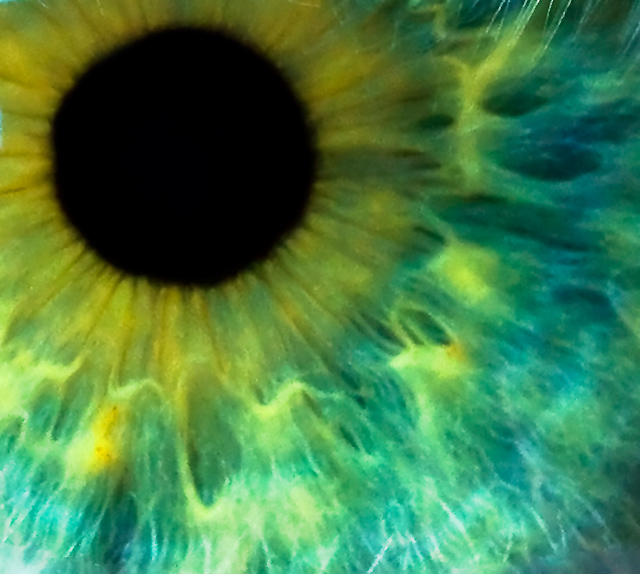 Eclipse