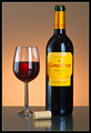 Campo Viejo 2004 - one fine Rioja