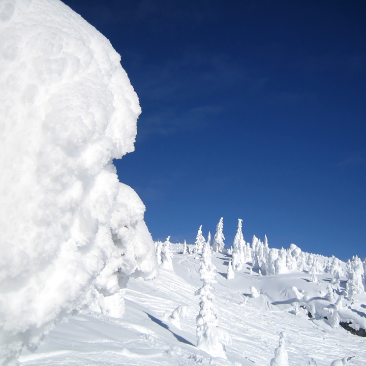 High Alpine