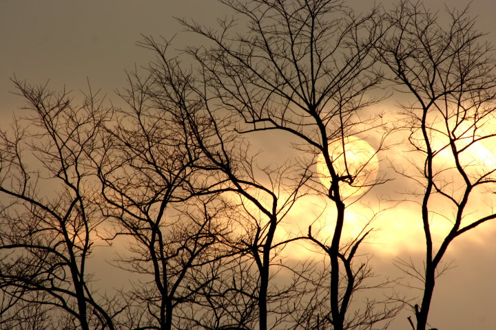 Hidden winter sunset 