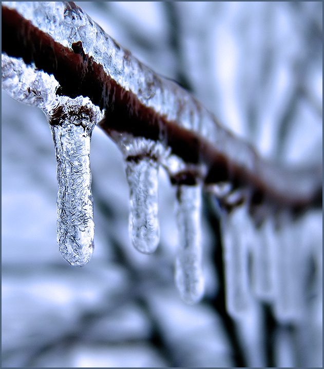 Ice Storm 2008