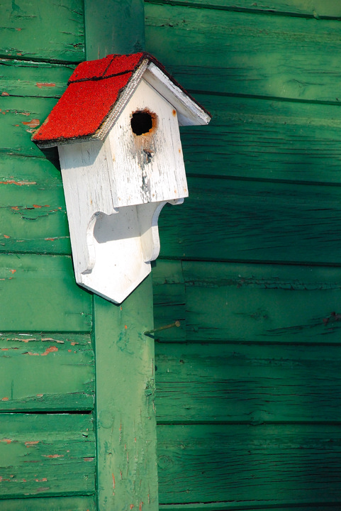 Summer Home For Wren-t