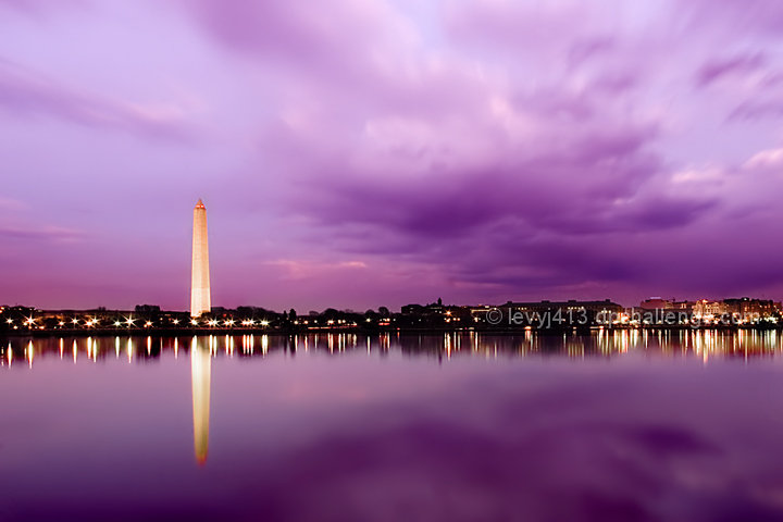 Lilac Evening