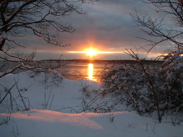 Snowy Sunset
