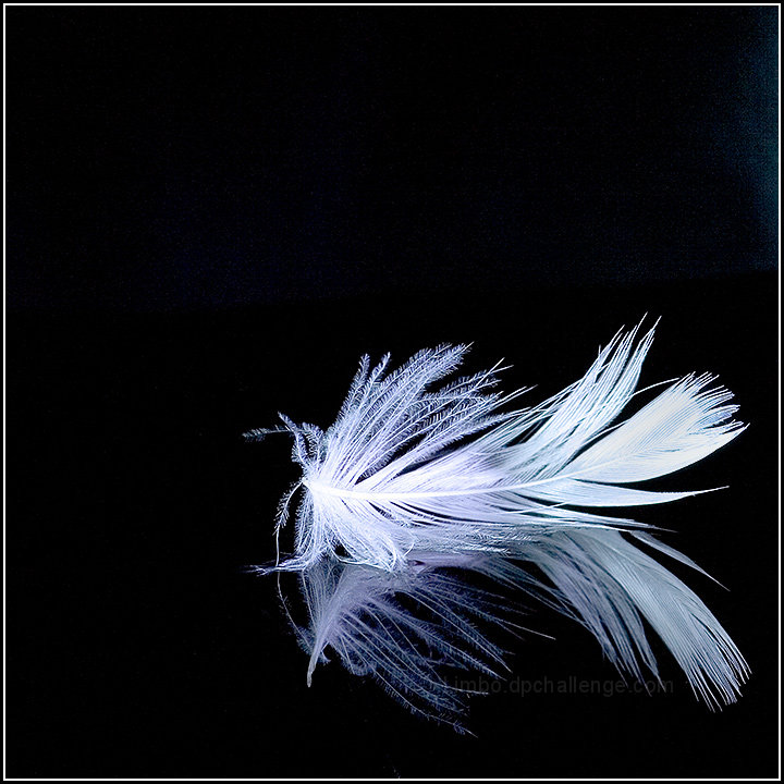 Floating in the night