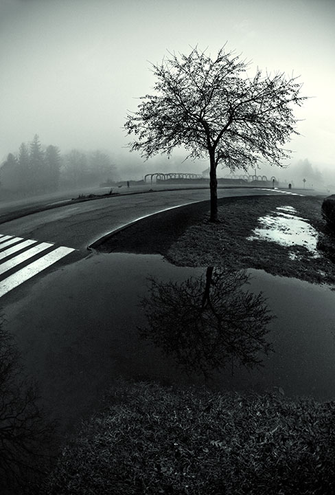 fog settles in