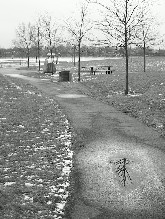 The Empty Park