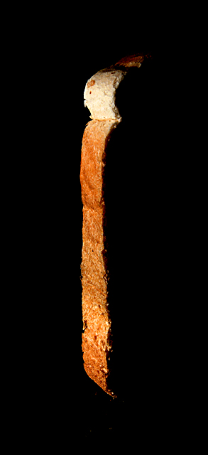 Silhouette of Yeast