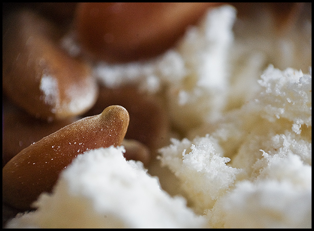 Linseed on flour