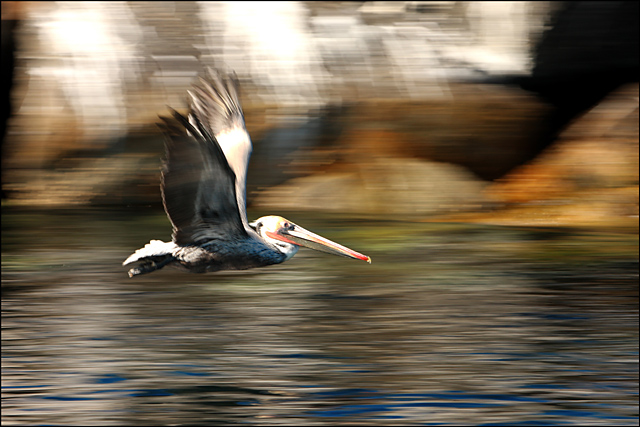 In Flight